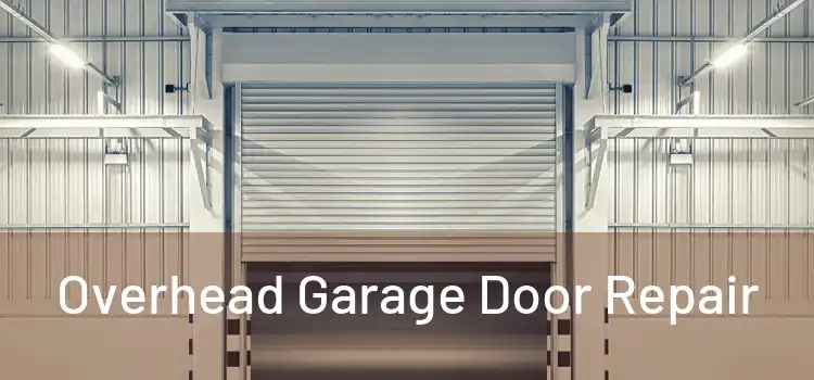  Overhead Garage Door Repair 