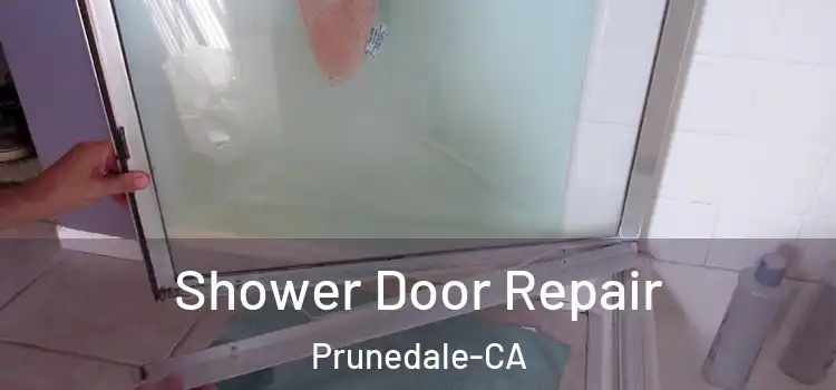  Shower Door Repair Prunedale-CA